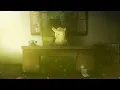 64 Bits Tutorial - Creating Dust Particles with After Effects Includes no plugin option