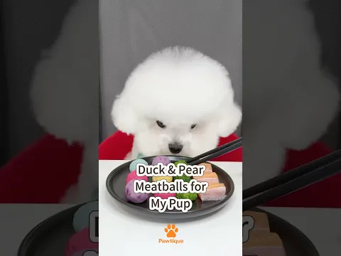 Duck & Pear Meatballs for My Pup! 🐶🍐 #bichonfrise #dogmeal #foodiedog #cutedog #doglife