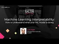 Machine Learning Interpretability How to Understand what your ML Model is Doing