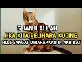 Download Lagu 5 Janji Allah Bagi Yang Suka Memelihara Kucing | No.3 Paling Diharapkan
