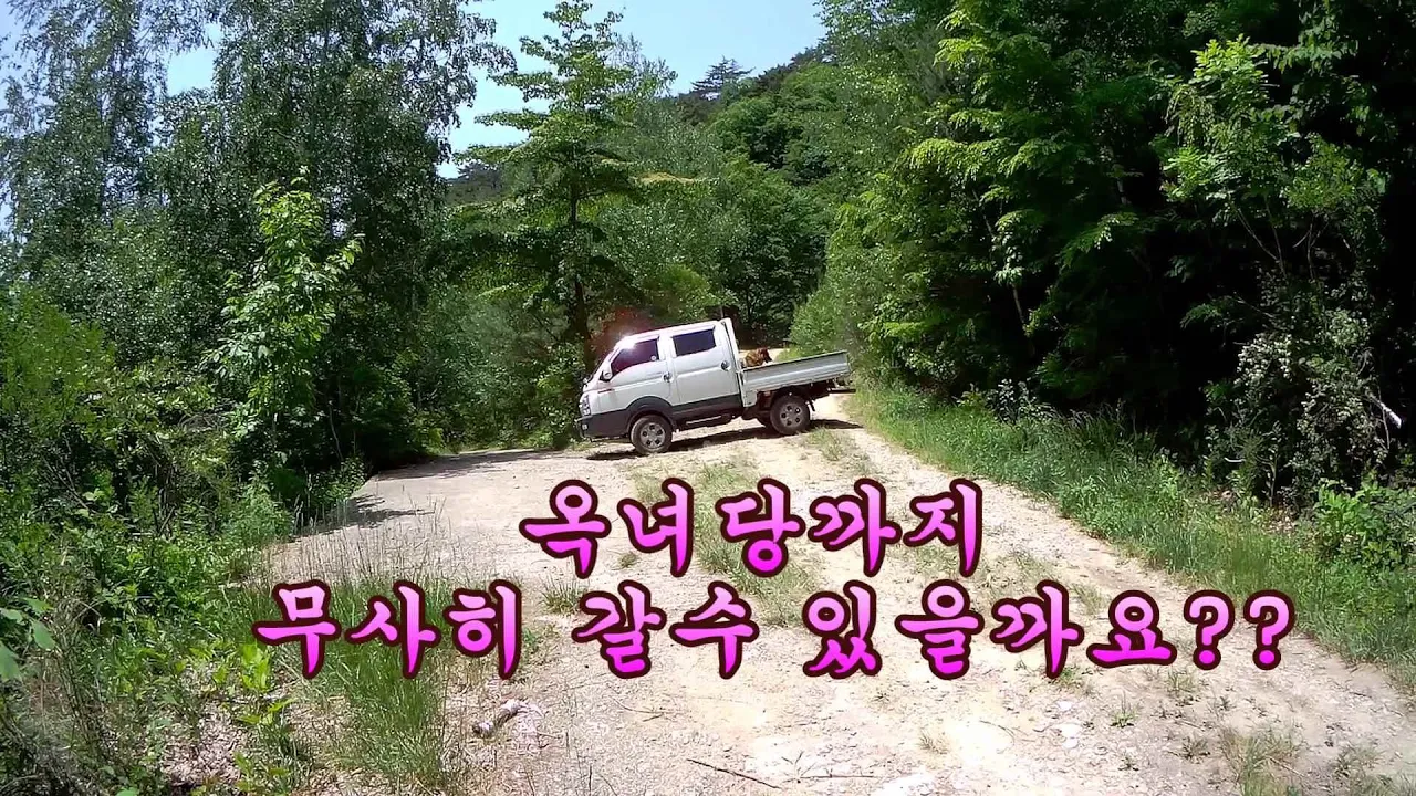 동해 바다가 보이는 영양 수비면 검마산 선시계곡가는 오지 임도여행//1편!! Gummasan Mountain Trip!! サムネイル