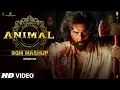 Download Lagu ANIMAL BGM (Mashup): Ranbir Kapoor | Sandeep Reddy Vanga | Harshavardhan Rameshwar | Kedrock