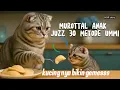 Nonton Sekali, Bikin Nagih! Murotal Juz 30 dan Kucing Lucu yang Menenangkan