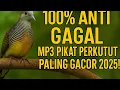 Lagu MP3 Pikat Perkutut Paling Gacor 2025 | 100% Ampuh Tanpa Gagal!