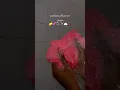 Download Lagu Washandjes zijn mijn go-to, maar deze Afrikaanse netsponzen zijn een vast onderdeel van mijn douc...