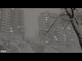 Perdenin Ardındakiler - Bu Şehir Bugün Sensiz (Sözleri)