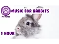Download Lagu 1 Hour of Rabbit Relaxation Music for Your Bunny