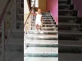 Download Lagu 🥰🥰cute baby girl #piglu #shorts#viral🤩😍