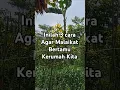 Download Lagu tiga cara agar malaikat bertamu ke rumah kita #alampedesaan #doa #amalan #malaikat #quotes