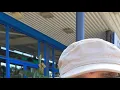 Alan Ross Reviews Q A at Starbucks
