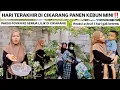 Lagu HARI TERAKHIR DI CIKARANG‼️PANEN KEBUN MINI LILIKKU