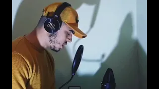 القارئ محمود الشافعي دندنها