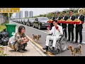 Paralyzed CEO In Wheelchair Lets Beggar Girl Stay At His Home, Unknowingly She Is His Lost Wife