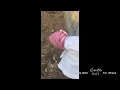 متصوع عيضه المنهالي يابس متصوع