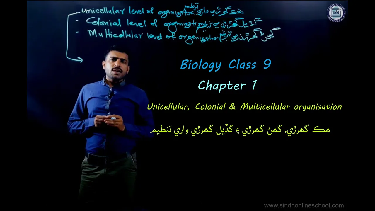 Unicellular, Colonial and Multicellular organisation| Biology Class 9| Chapter 1| Lecture 11| SOS