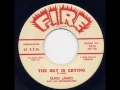 The Sky Is Crying -  Elmo James
