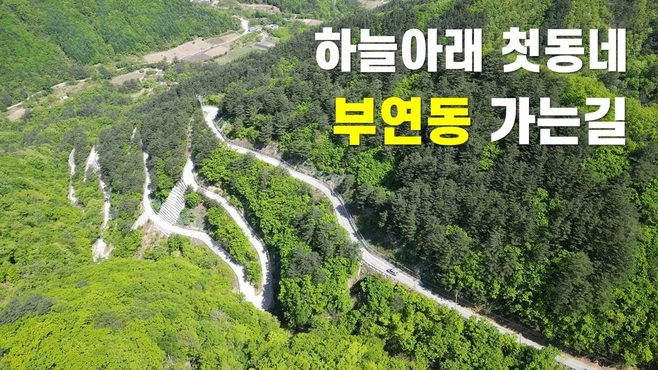 이런 길이 국도라니....그런데....... 너무 좋다, #부연동길 サムネイル