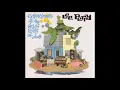 Mad Professor   Psychedelic Dub