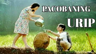 Download PACOBANING URIP hip hop Jawa MP3