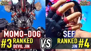 T8 MOMO-DOG Ranked Devil Jin vs SEF Ranked Jin Tekken 8 High Level Gameplay