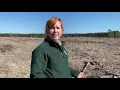 Longleaf Pines Forest Stewardship Virtual Field Day Series