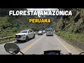 Lagu EP-12 Atravessando a Floresta Amazônica Peruana, início das cordilheiras dos Andes