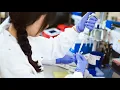 CytoCell myProbes custom FISH probes