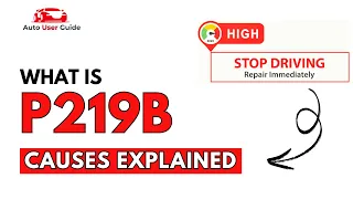 What is P219B Engine Error Code Causes Explained