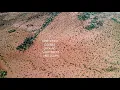 9 38 Acres near Sierra Vista