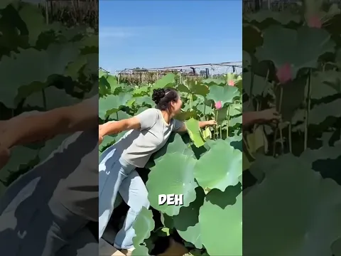 Awalnya Dikira Aneh, Pas Mekar Bikin Melongo!