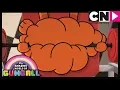 Gumball | The Signal | Cartoon Network