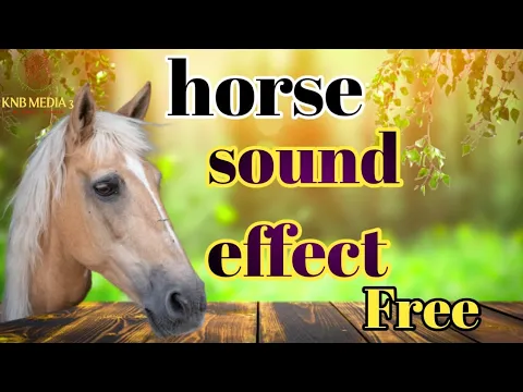 Download MP3 horse,gallop,sound,effect,mp3 copyright free