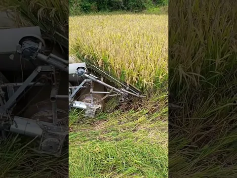 Từng tự ti chỉ học lớp 5