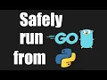 Safely run Go with Python ex in django app with zmq