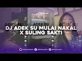 Download Lagu DJ ADEK SU MULAI NAKAL X SULING SAKTI VIRAL TIK TOK TERBARU 2025