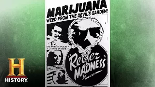 how did cannabis become the worlds most controversial plant history