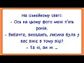 Download Lagu 🏡Як На Сімейному Святі Розглядали Фото! Добiрка Нових Смiшних Анекдотiв! Гумор! Настрiй!