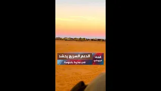 تعزيزات عسكرية لقوات الدعم السريع بمحيط مدينة بابنوسة غربي كردفان 