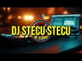 DJ STECU STECU FARIS ADAM 2025