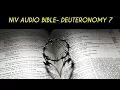DEUTERONOMY 7 NIV BIBLE with text