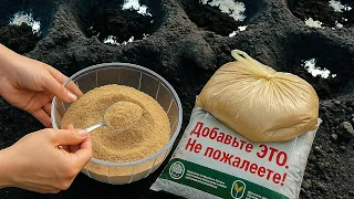 Бросаю ЭТО в лунку и...Соседи в шоке: «Томаты — как с картинки!» А СЕКРЕТ ПРОСТ!