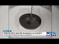 Talquin Electric Cooperative investigating cause of discolored water in Wakulla County