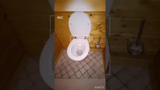                     دندنها