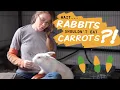 Do Rabbits Need to Eat Carrots
