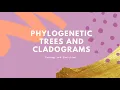 Constructing a Cladogram