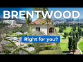Is Brentwood Right for You Exploring Los Angeles ELITE Neighborhood