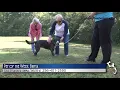 SylacaugaNews com and Mutt Cuts Pet of the Week Oct 30 2018 - Britta