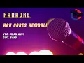 Download Lagu Jihan Audy - Kau Gores Kembali KARAOKE) | New Rgs