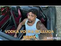 Lvbel C5  - VODKA VODKA BELUGA.  Водка водка белуга