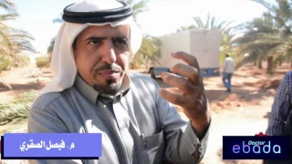 قالوا عن إبادة   م  فيصل الصقري   مدير وقاية المزروعات بمنطقة حائل دندنها